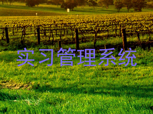 實習管理系統(tǒng)