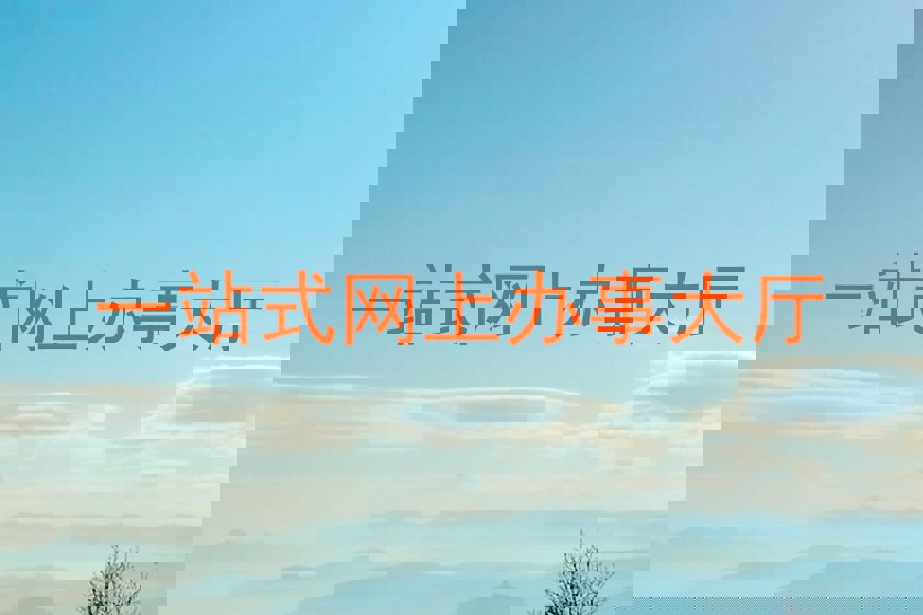 一站式网上办事大厅