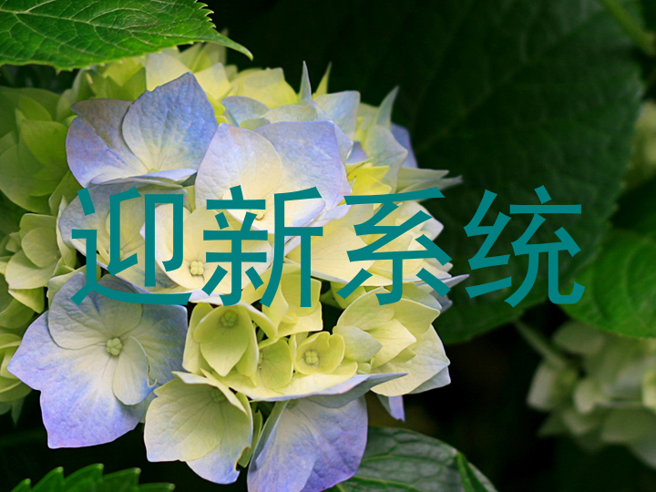 迎新系统