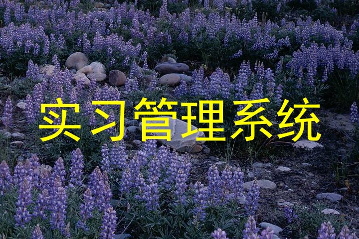實習管理系統(tǒng)