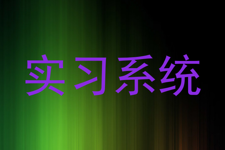 實(shí)習(xí)系統(tǒng)