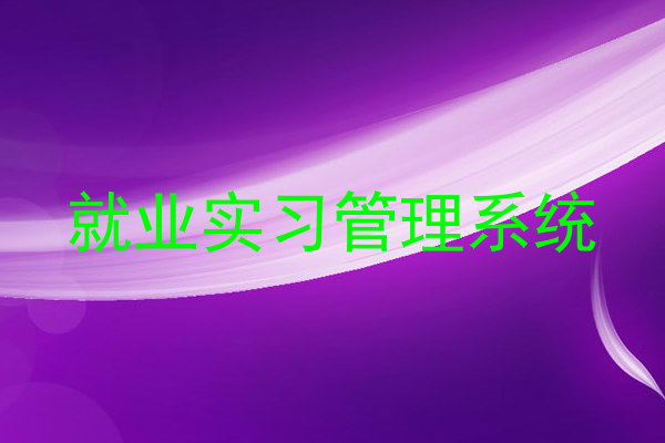 就業(yè)實習(xí)管理系統(tǒng)