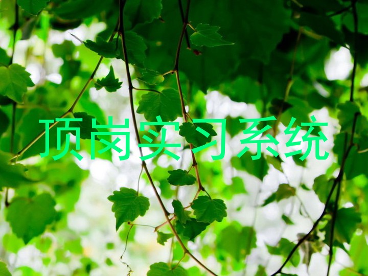 顶岗实习系统