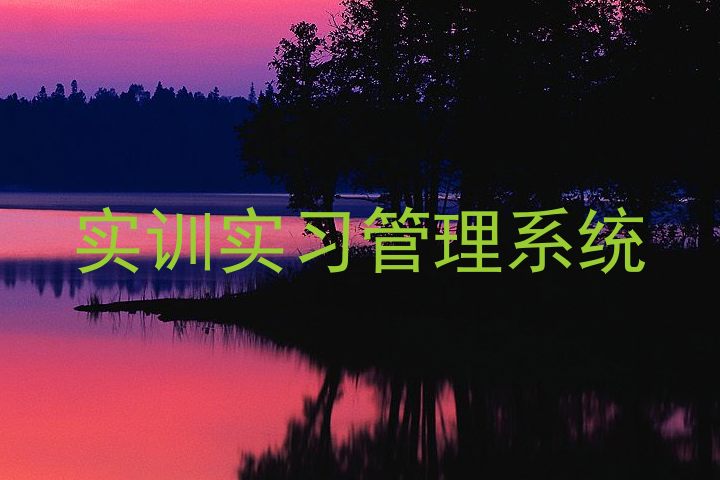 實(shí)訓(xùn)實(shí)習(xí)管理系統(tǒng)