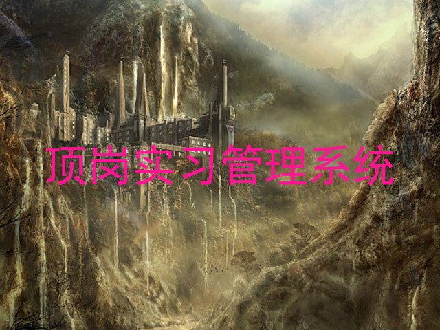 頂崗實(shí)習(xí)管理系統(tǒng)