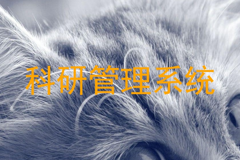 科研管理系统
