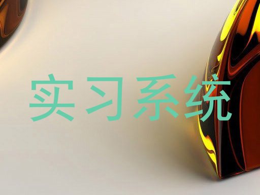 实习系统