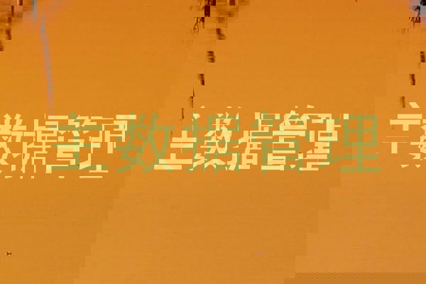 主数据管理
