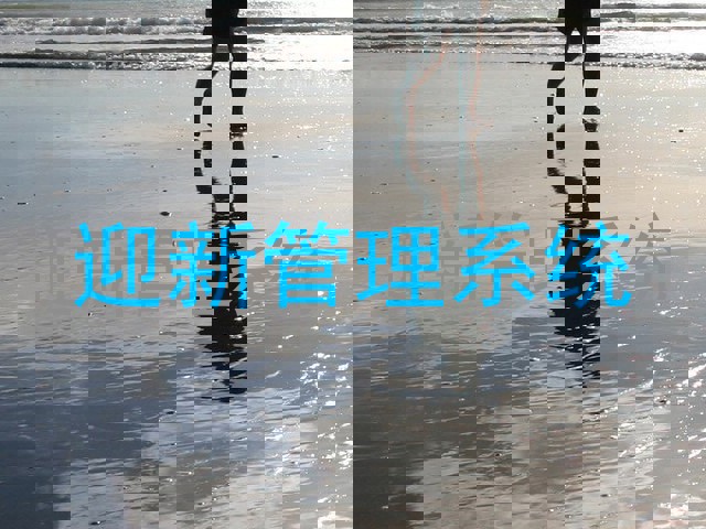 迎新管理系统