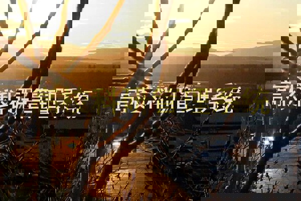 高校科研管理系统