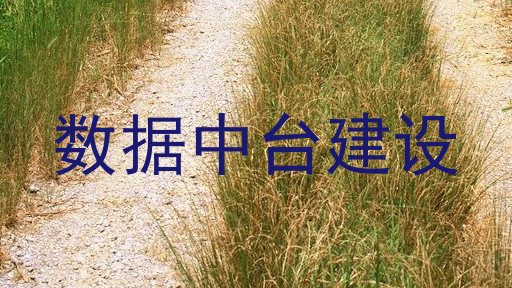 数据中台建设