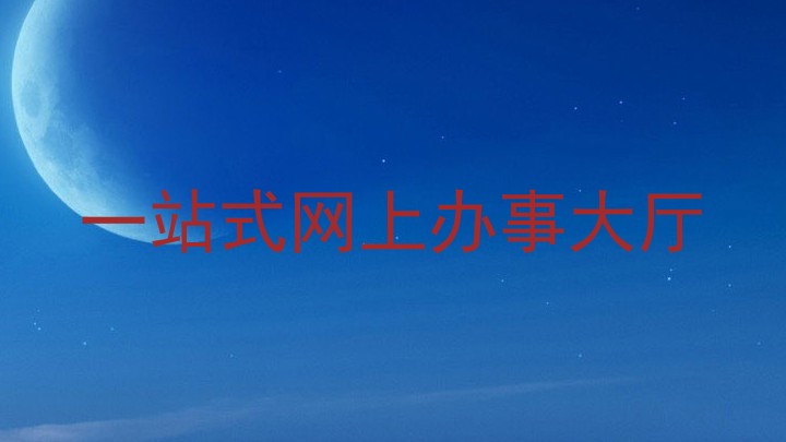 一站式网上办事大厅
