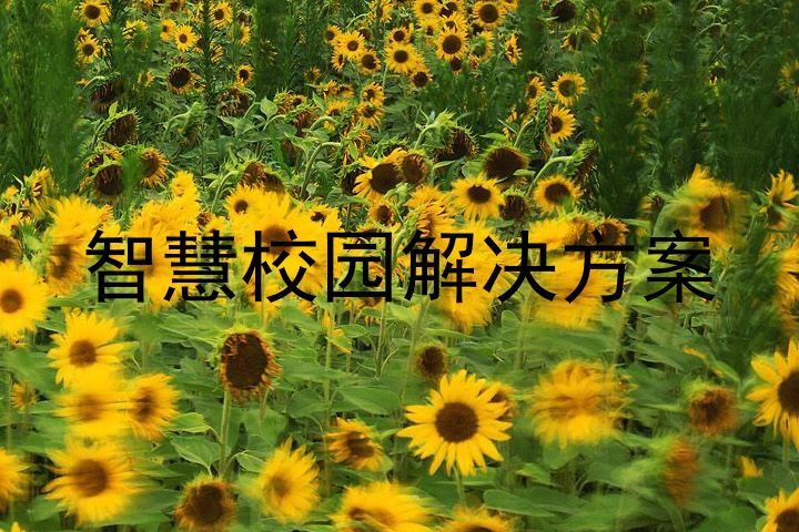 智慧校园解决方案