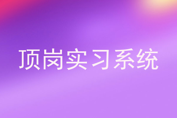 頂崗實(shí)習(xí)系統(tǒng)