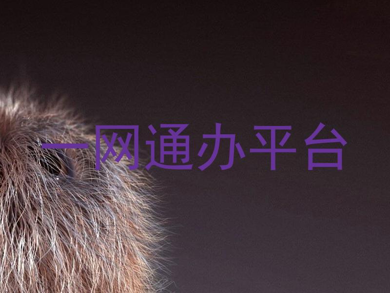 一网通办平台