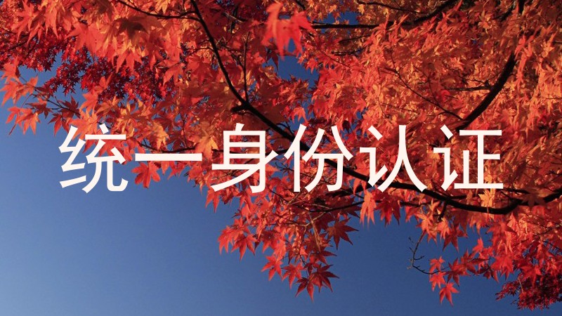 统一身份认证