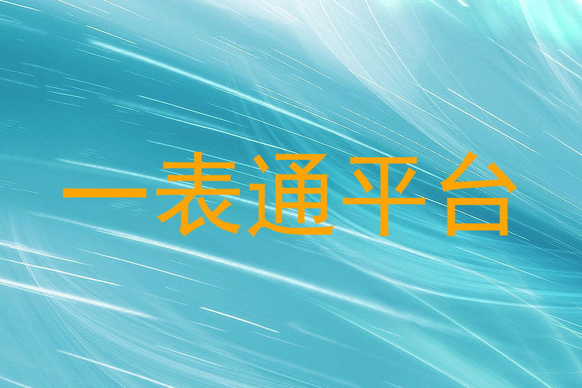一表通平台