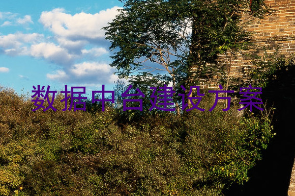 数据中台建设方案