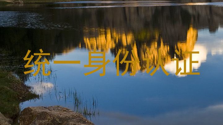 统一身份认证