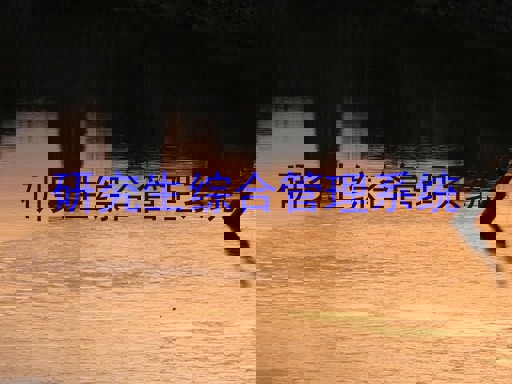 研究生综合管理系统