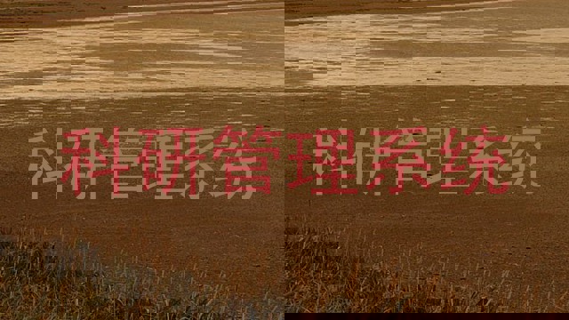 科研管理系统