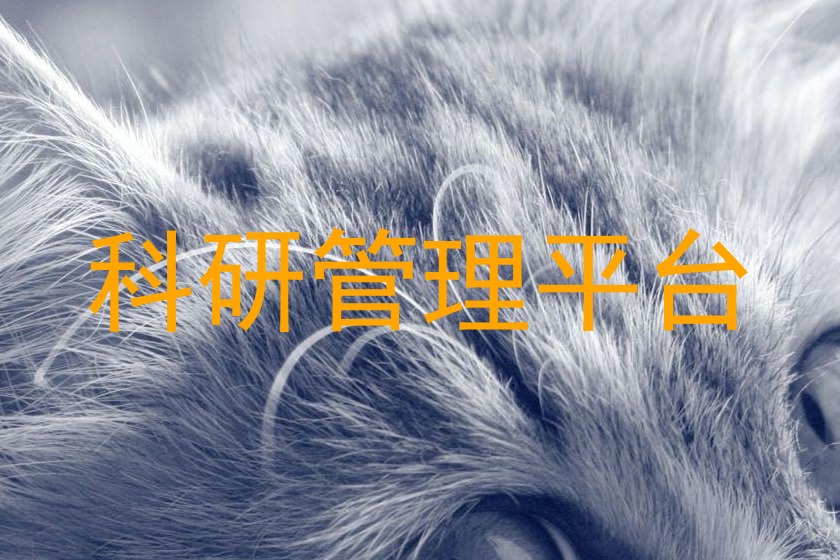 科研管理平台