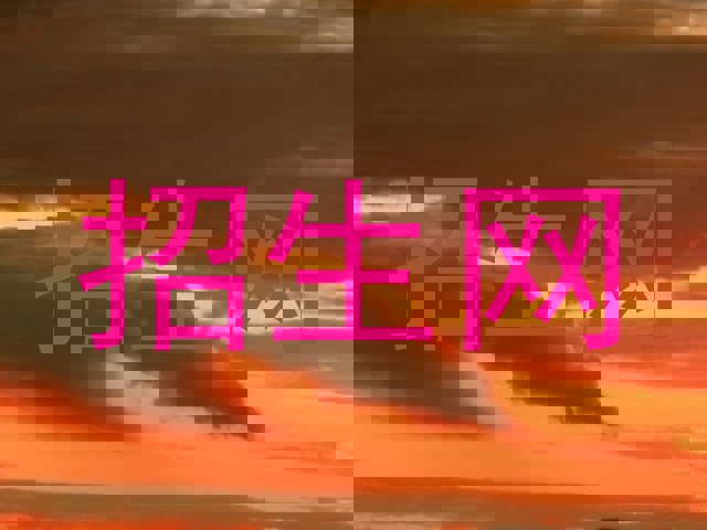 招生網(wǎng)