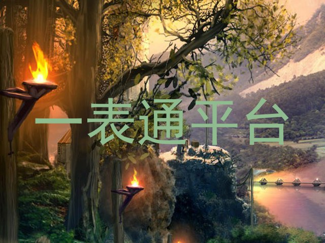 一表通平台