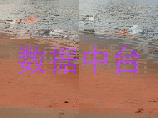 数据中台