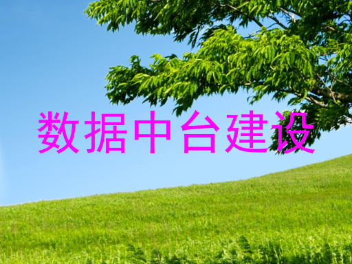 数据中台建设