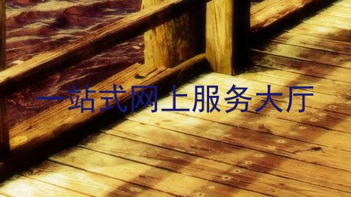 一站式网上服务大厅