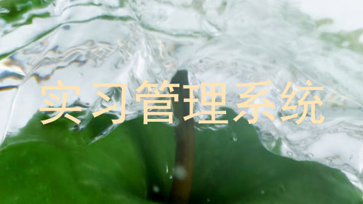 實(shí)習(xí)管理系統(tǒng)