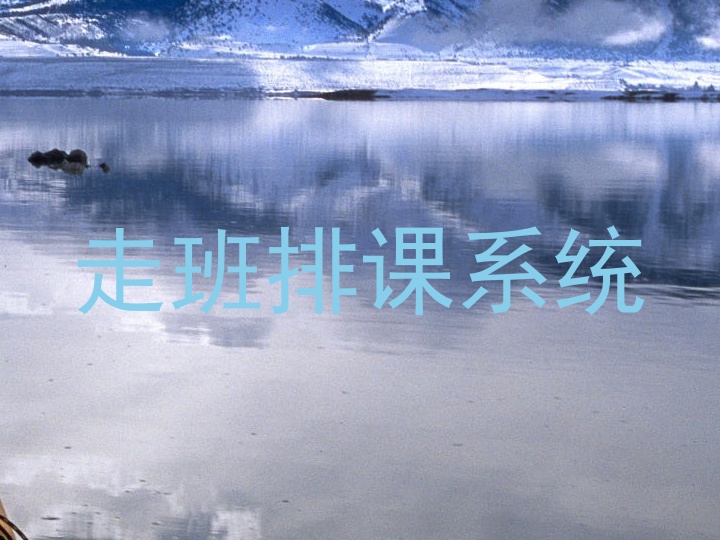 走班排课系统