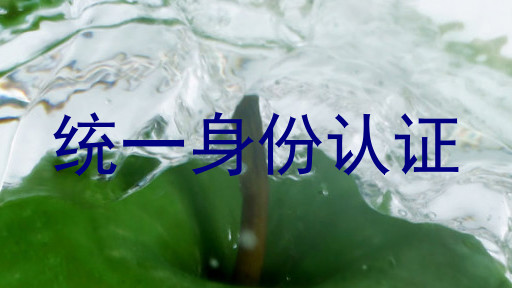 统一身份认证