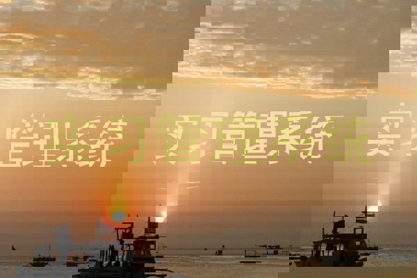 實習管理系統(tǒng)
