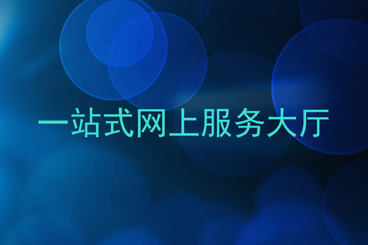一站式网上服务大厅