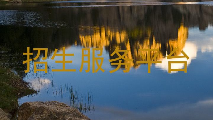 招生服務(wù)平臺(tái)