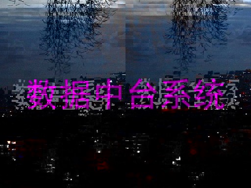 数据中台系统