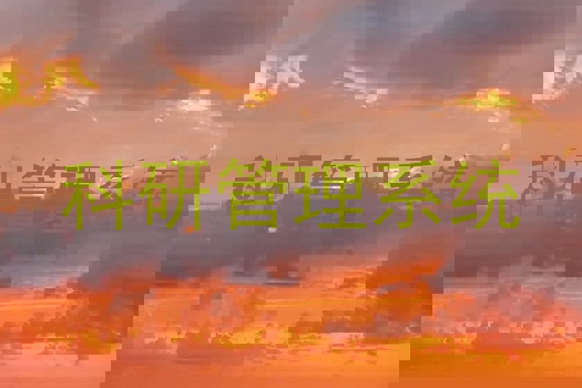 科研管理系统