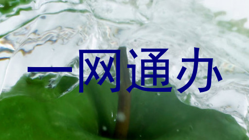 一网通办