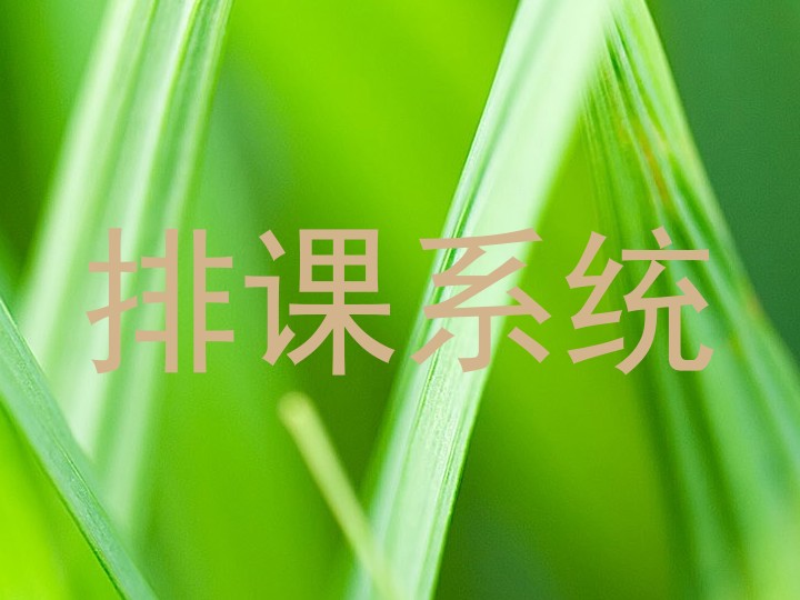 排课系统