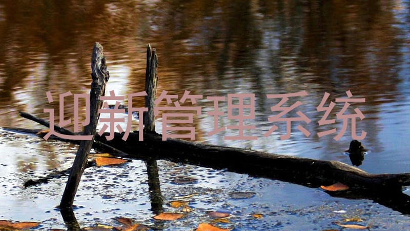 迎新管理系统