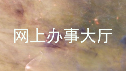 网上办事大厅