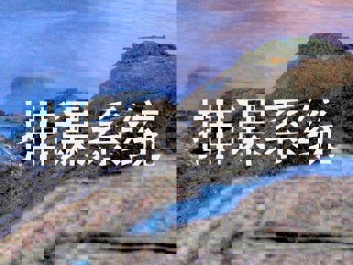 排课系统
