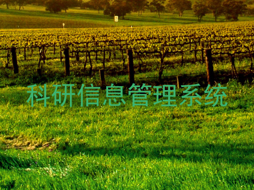 科研信息管理系统