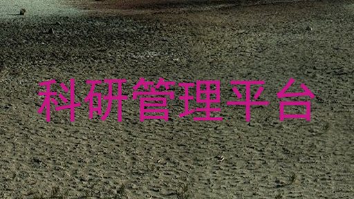 科研管理平台