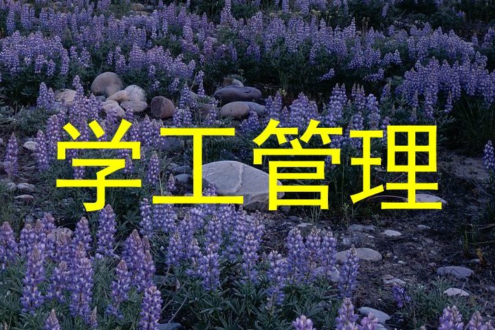 学工管理