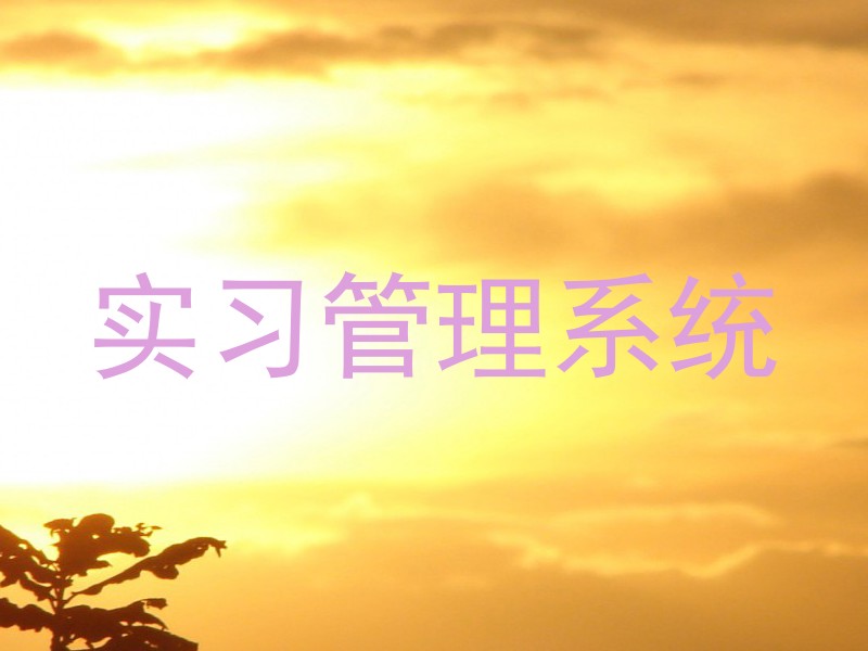 實習管理系統(tǒng)