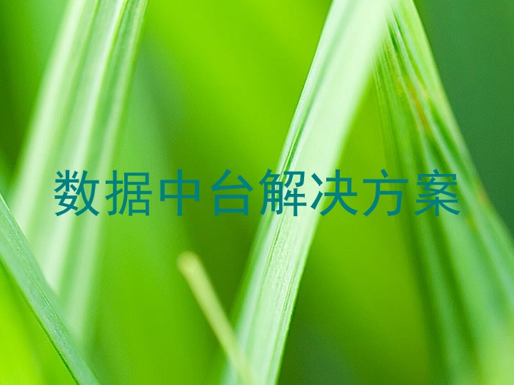 数据中台解决方案