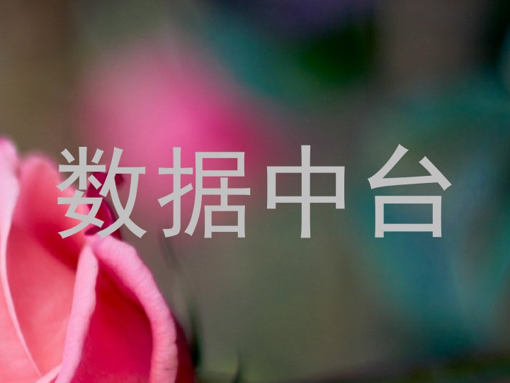 数据中台